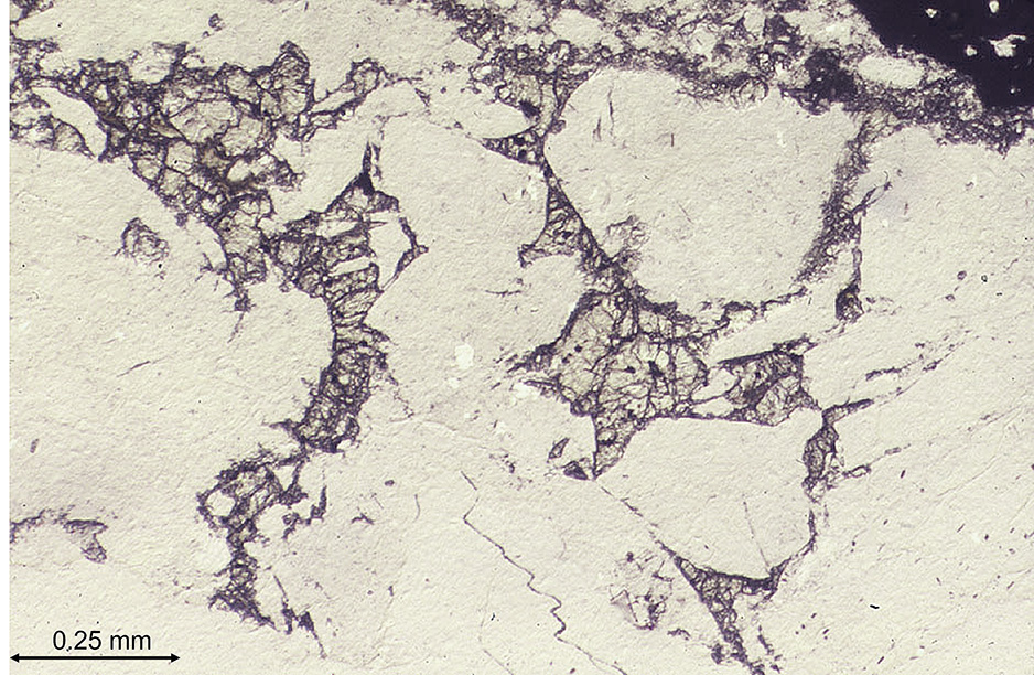 Photomicrograph of an anorthosite clast in Apollo sample 67915.