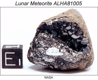 Lunar meteorite ALHA81005.