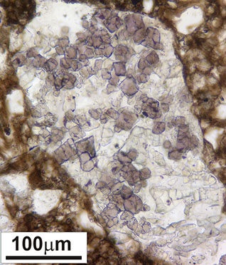 On the left: Apollo 16 rake sample, 65785, has a clast of pink spinel troctolite. On the right: Thin-section image of spinel-rich clast in lunar meteorite ALHA81005 from Figure 1 in Gross and Treiman (2011) JGR, doi:10.1029/2011JE003858.