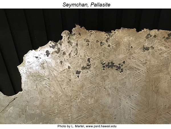 Photo of Seymchan pallasite at the Fersman Mineralogical Museum.