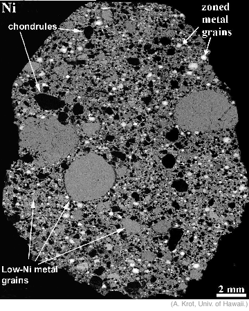 HaH237 thin section