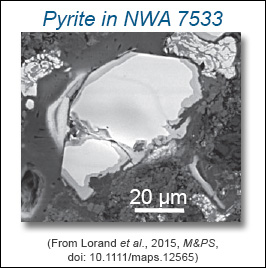 pyrite in NWA 7533