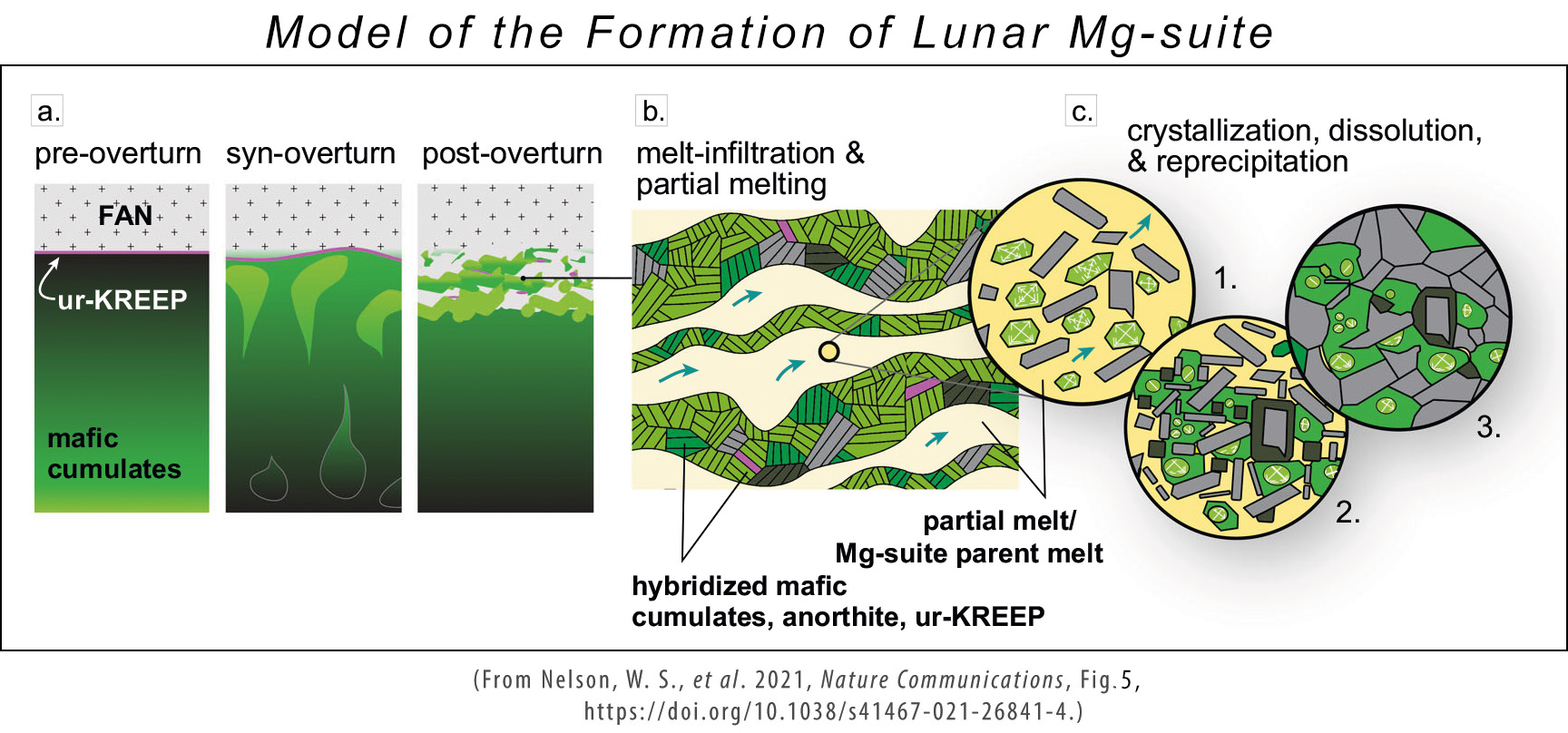 Three-part illustration of the model by Nelson and colleagues for the formation of lunar Mg-suite.