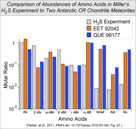 Comparison of amino acid abundances in samples from Miller's H2S experiment to two Antarctic CR chondrite meteorites.