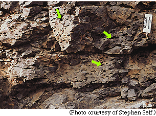 Vesicles in Basalt